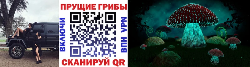 Купить где  Черняховск  Псилоцибиновые грибы GOLDEN TEACHER 